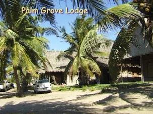 Palm Grove Mozambique